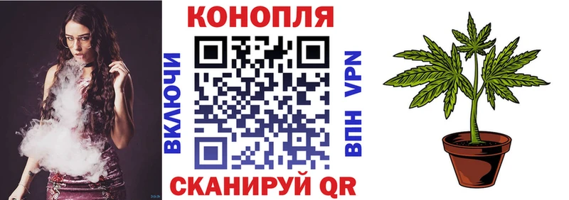Бошки Шишки планчик  Сосновоборск 
